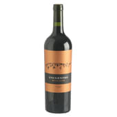 Vino Malbec Encuentro 750 Cc