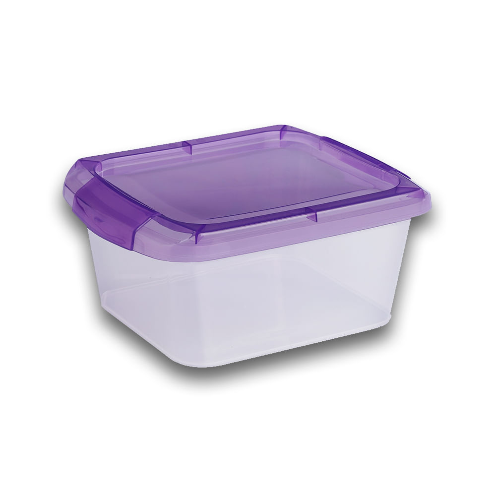 Caja Organizadora X 1u