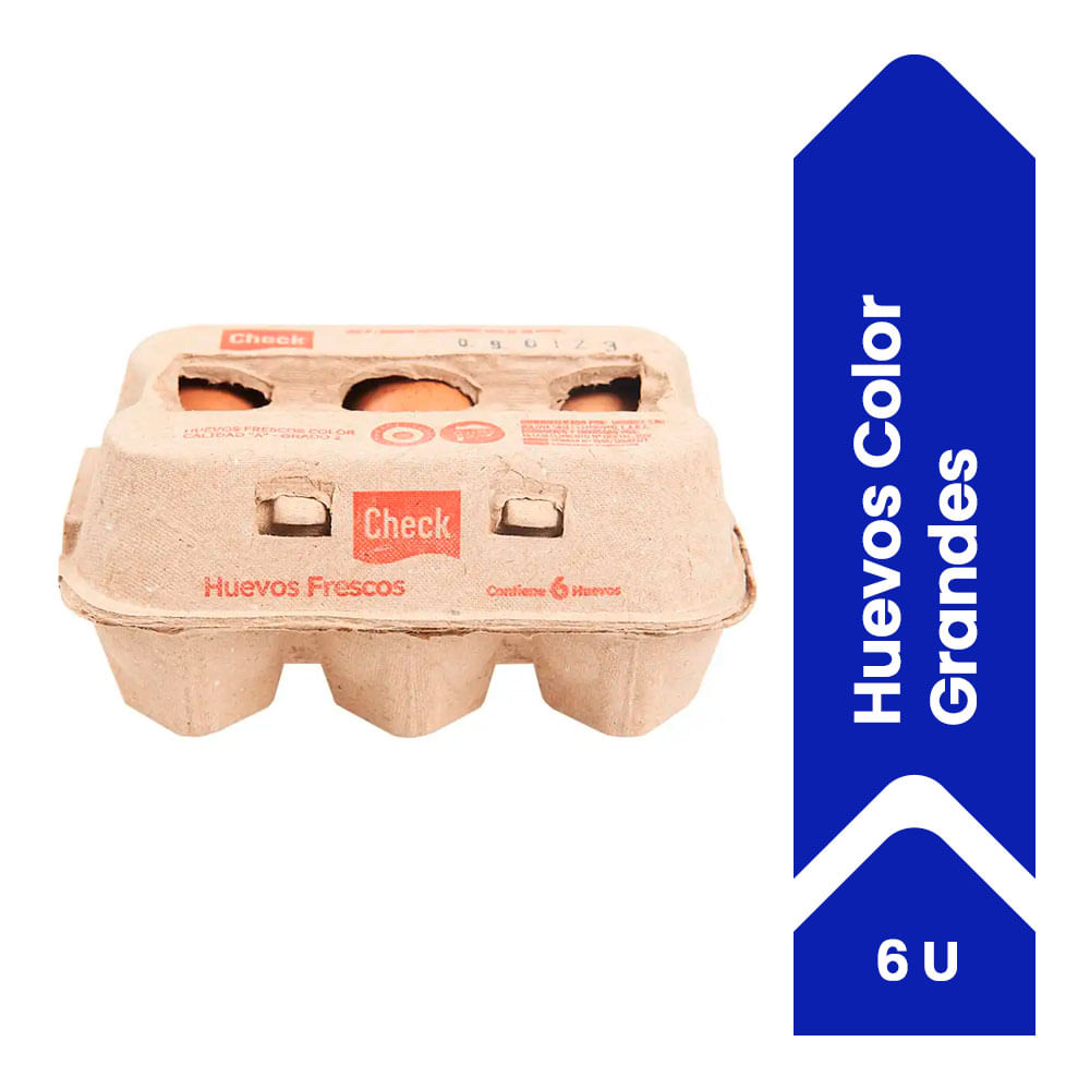 Huevos De Color Check Grandes 6 U