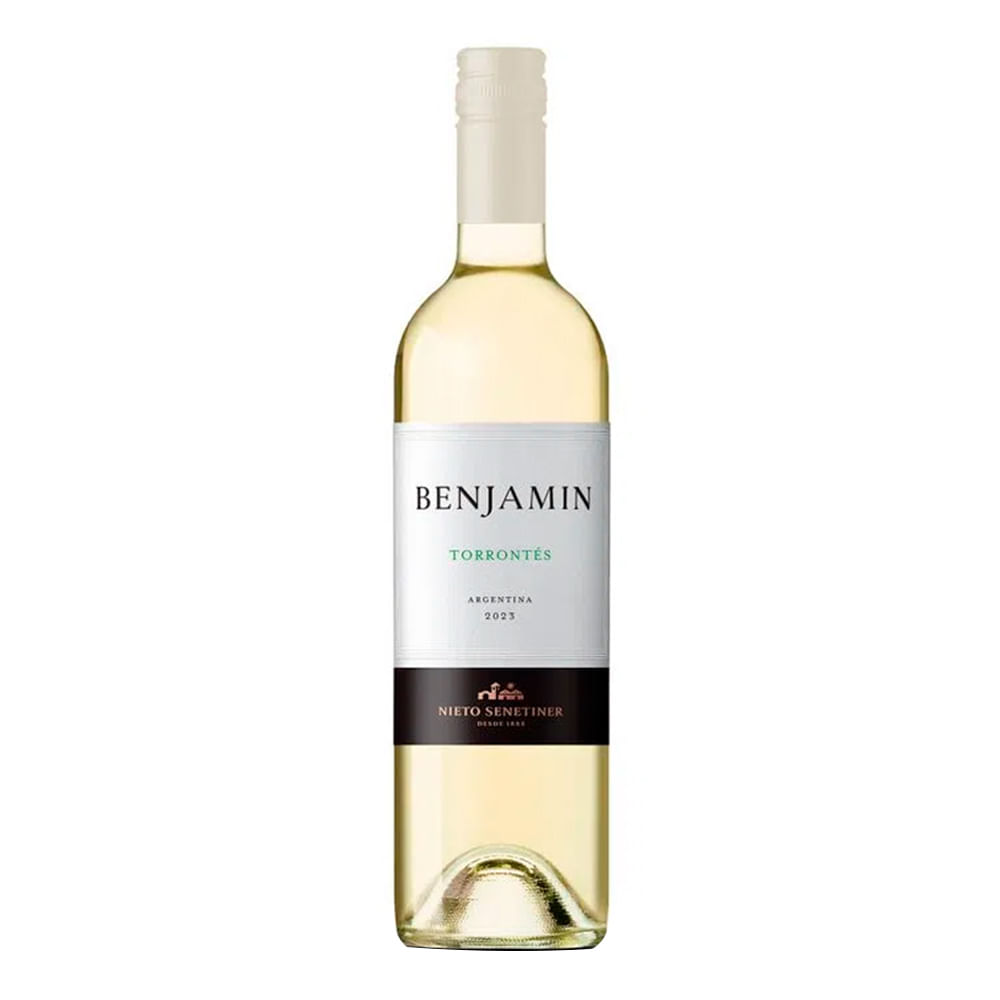 Vino Benjamin Torrontés 750ml