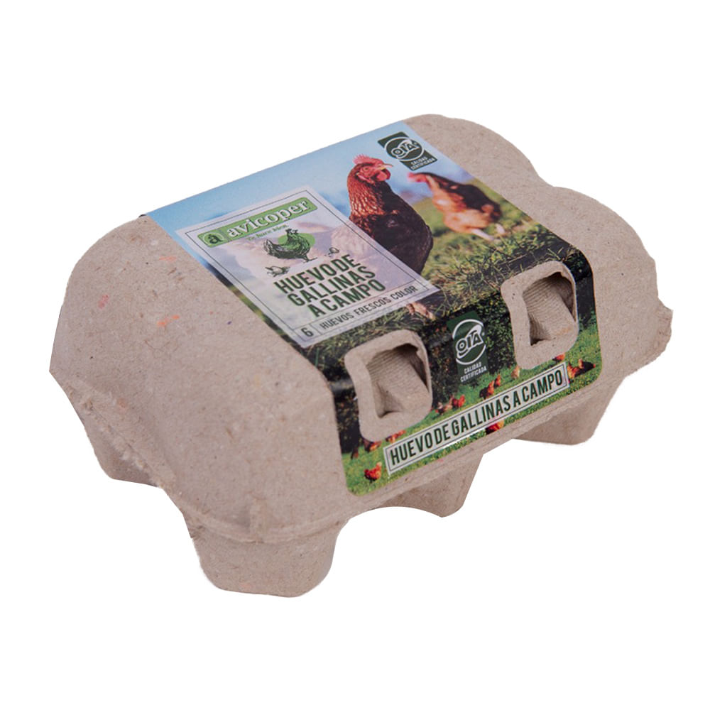 Huevos Color Avicoper Gallinas A Campo 6 U