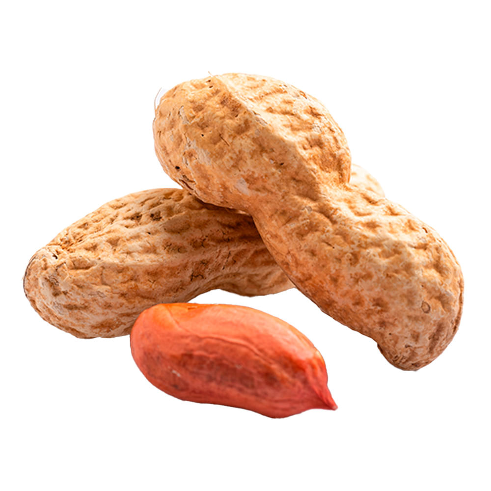 Mani 100 G