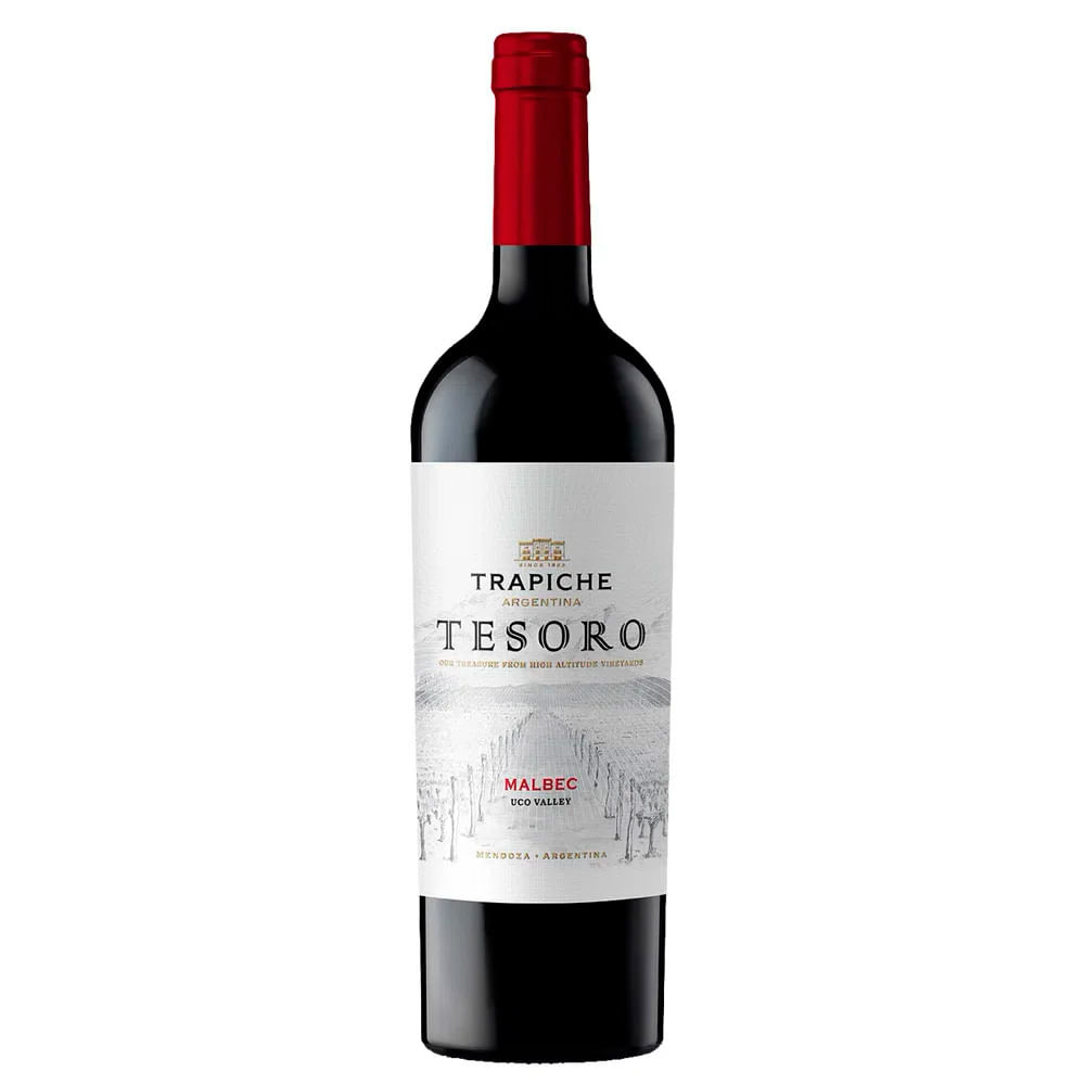 Vino tinto Malbec Tesoro en botella 750 ml